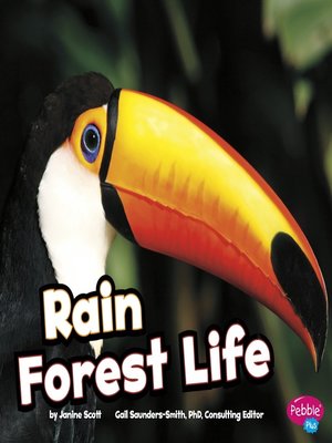 cover image of Rain Forest Life